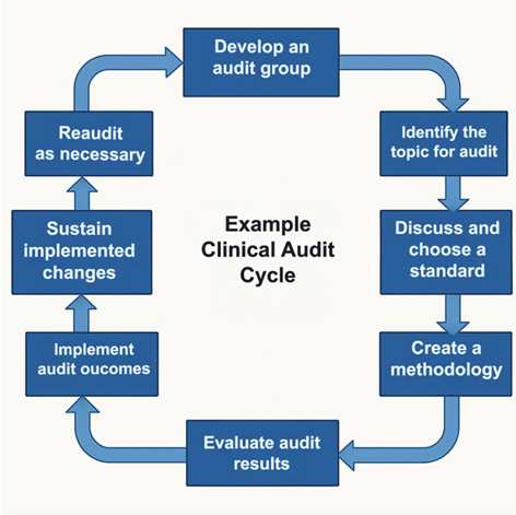 Clinical audit cycle steps